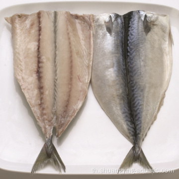 BQF/IQF Frozen Mackerel Flaps พร้อมมาตรฐาน EU